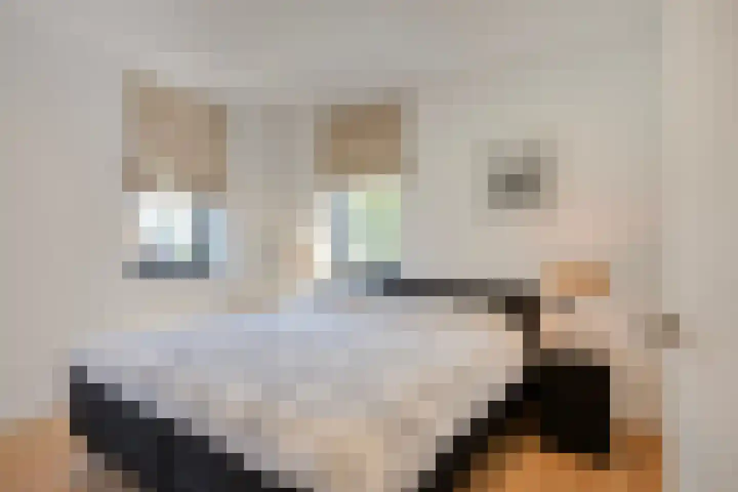 Broekstraat 34 Mierlo thumbnail 23