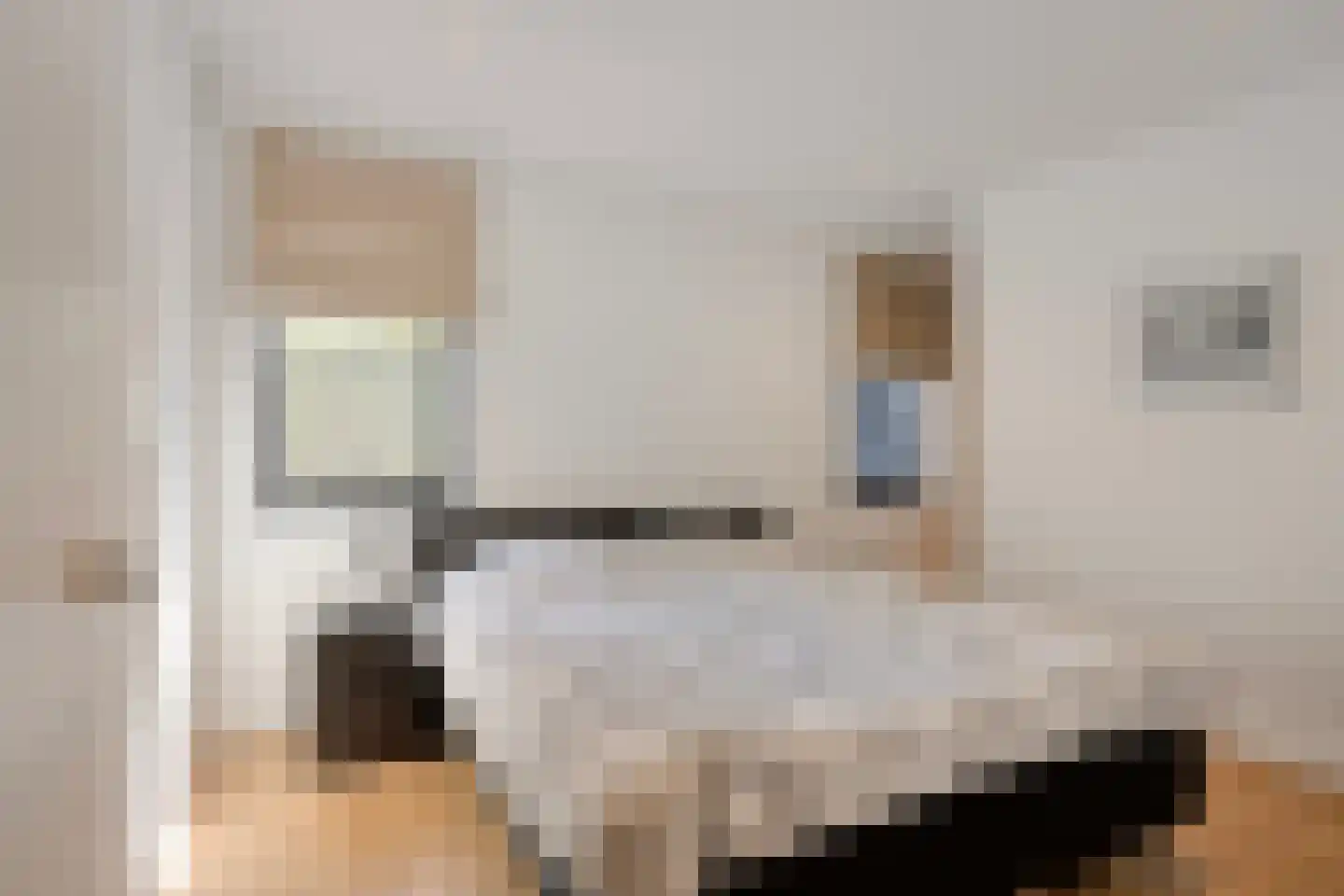 Broekstraat 34 Mierlo thumbnail 24