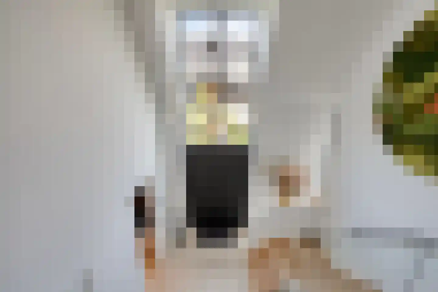 Broekstraat 34 Mierlo thumbnail 27