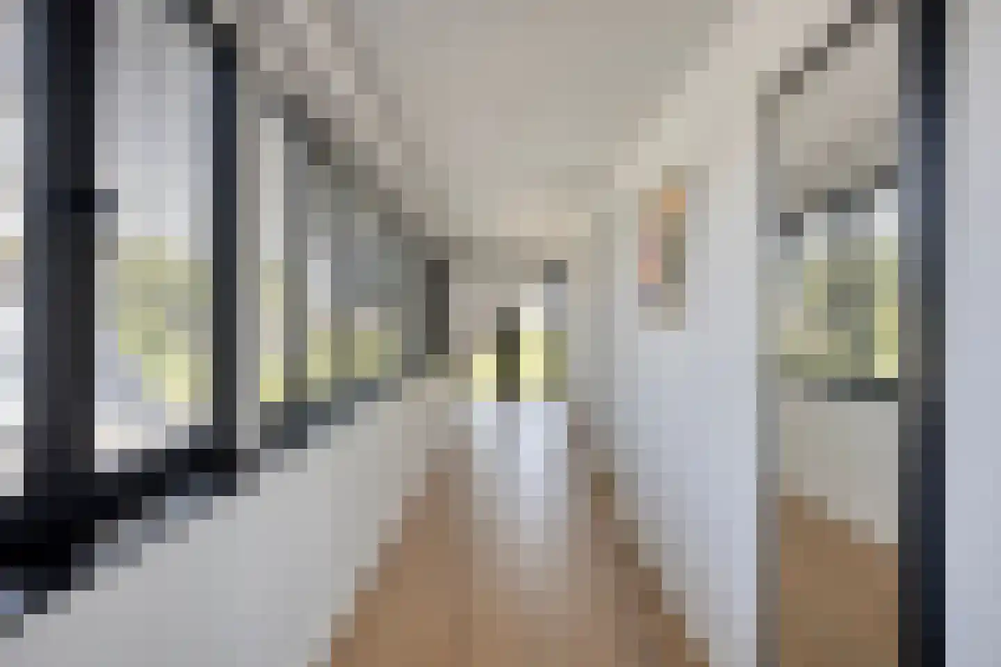 Broekstraat 34 Mierlo thumbnail 29