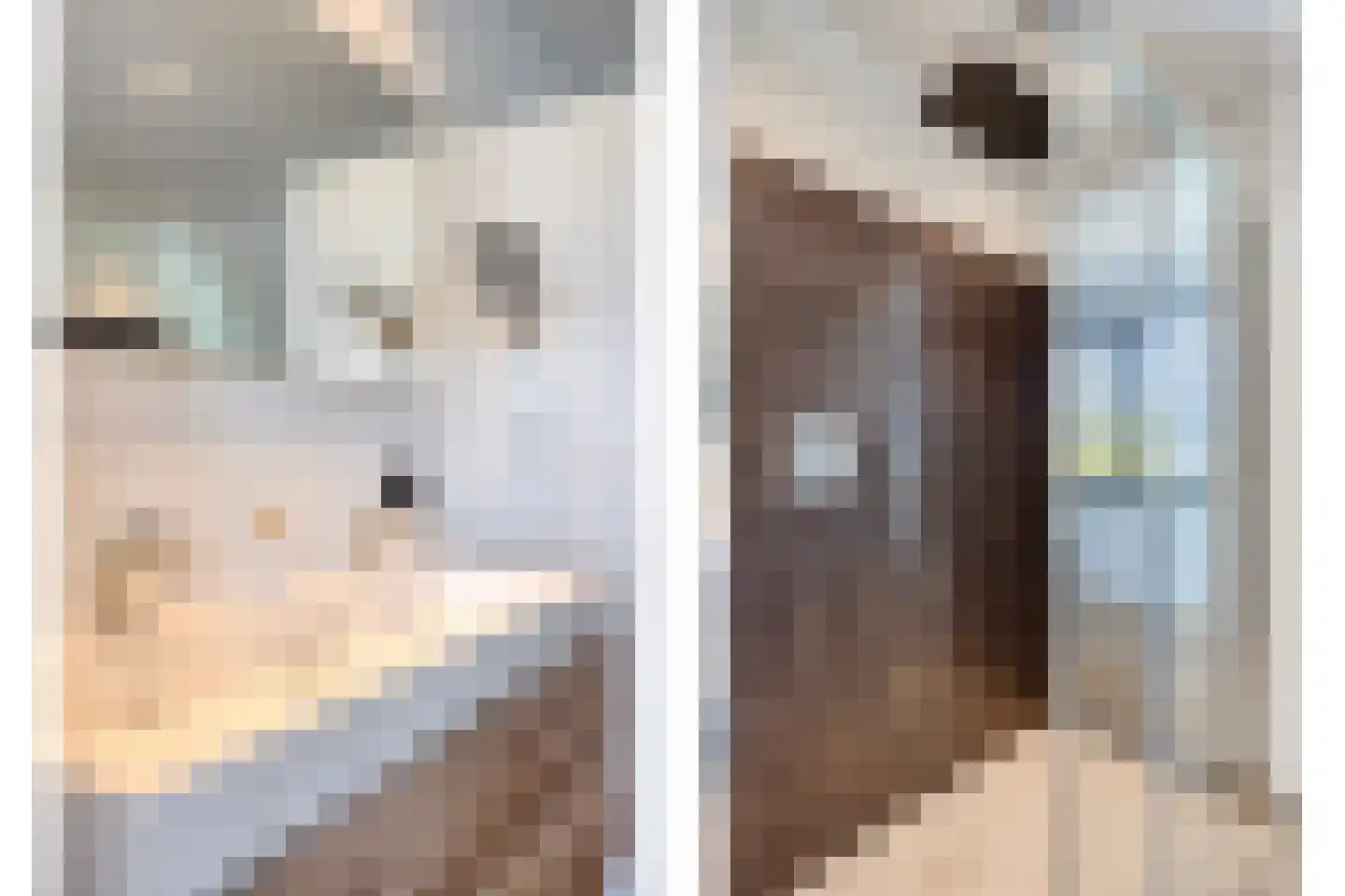 Broekstraat 34 Mierlo thumbnail 33