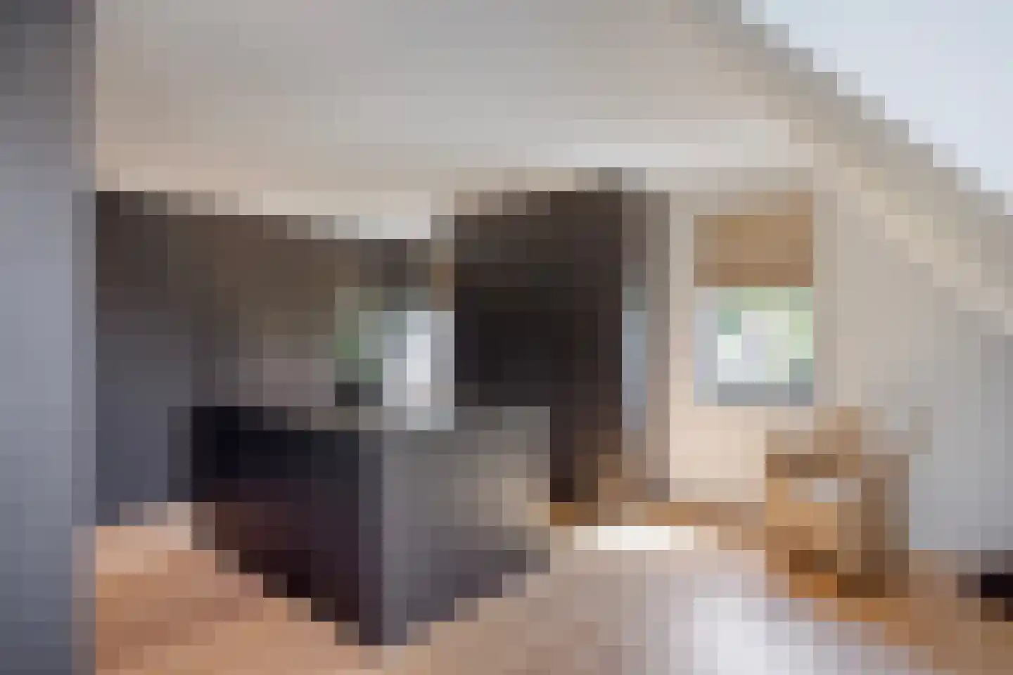 Broekstraat 34 Mierlo thumbnail 36