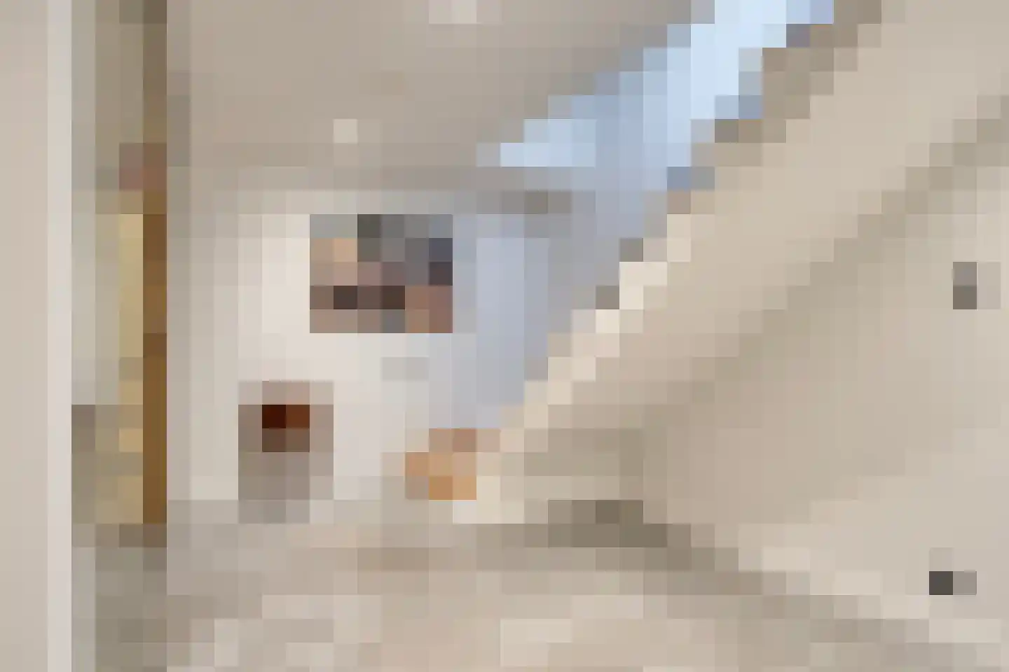 Broekstraat 34 Mierlo thumbnail 38