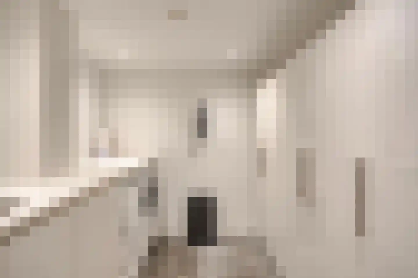Broekstraat 34 Mierlo thumbnail 41