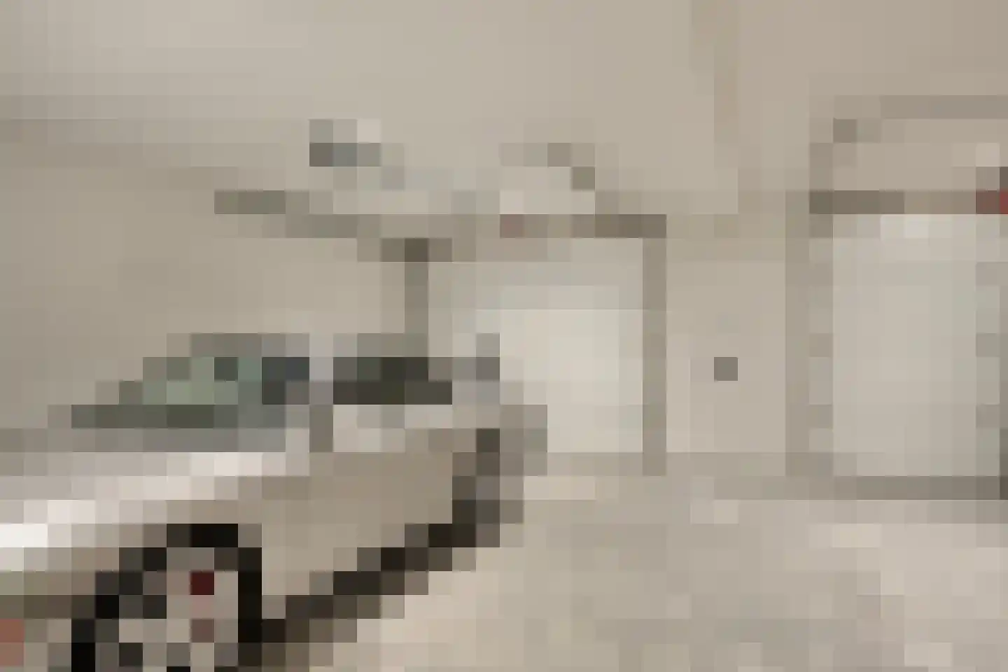 Broekstraat 34 Mierlo thumbnail 43
