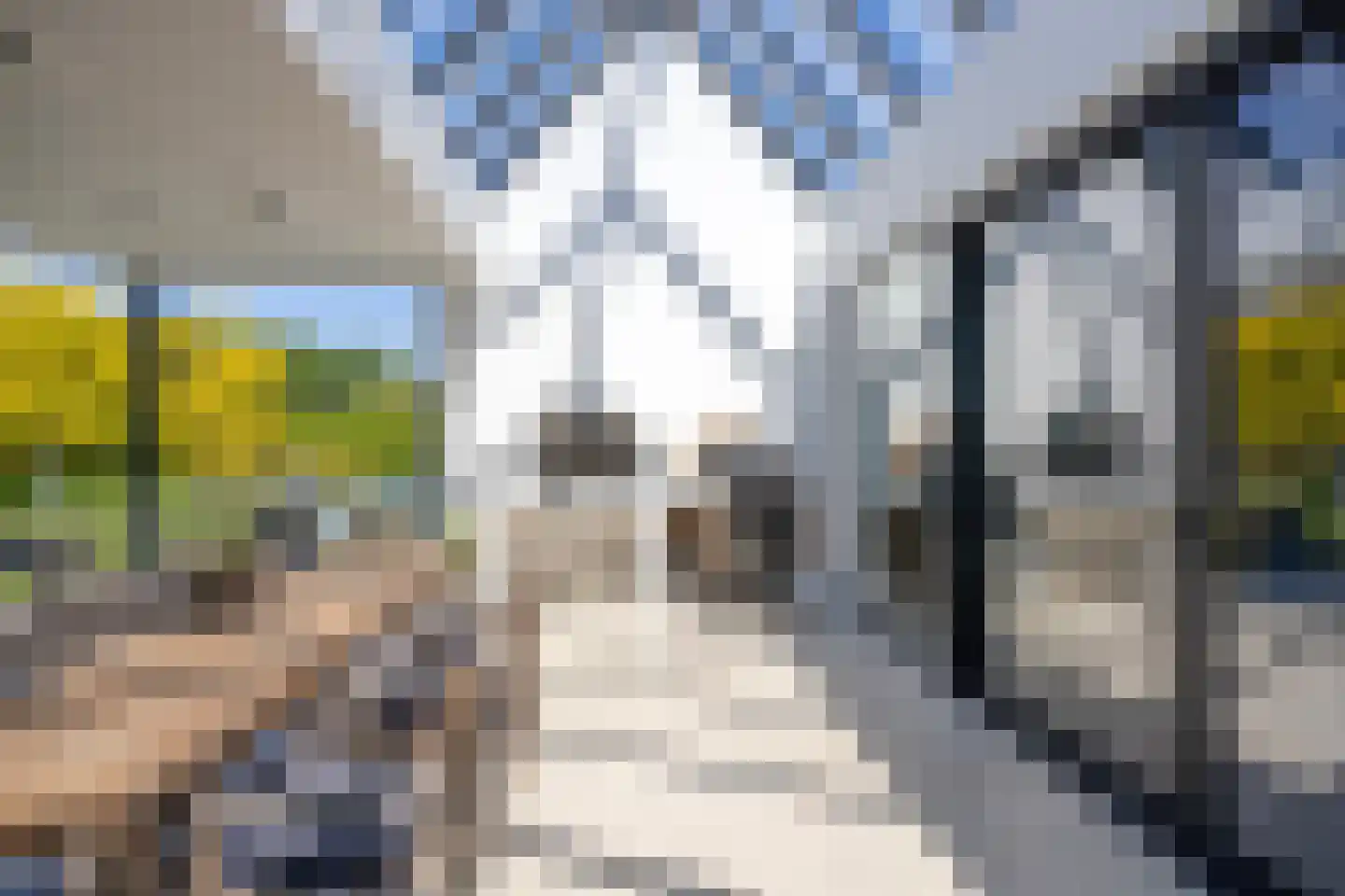 Broekstraat 34 Mierlo thumbnail 45