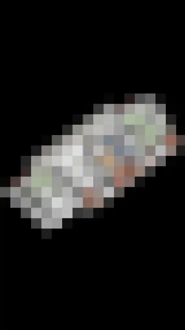 Broekstraat 34 Mierlo thumbnail 57