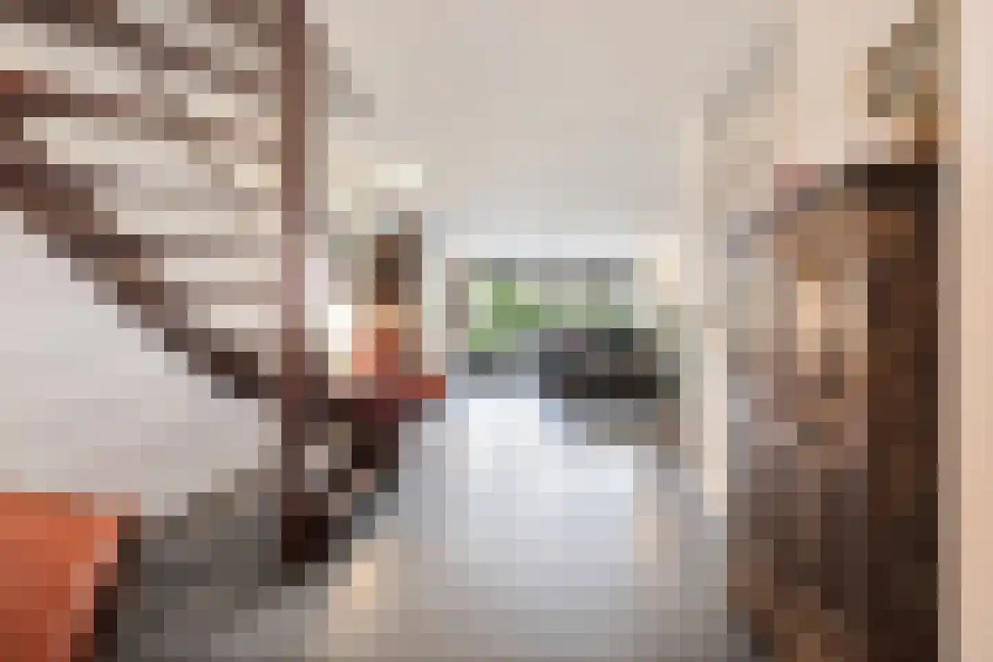 Broekstraat 48 Dorst thumbnail 10
