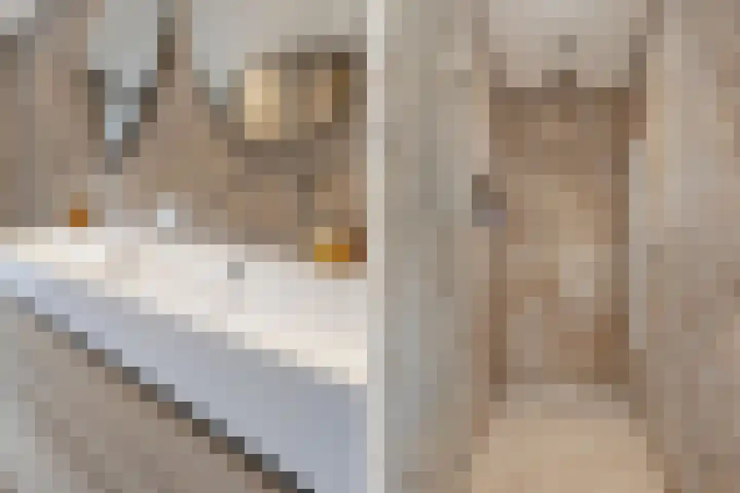 Broekstraat 48 Dorst thumbnail 36
