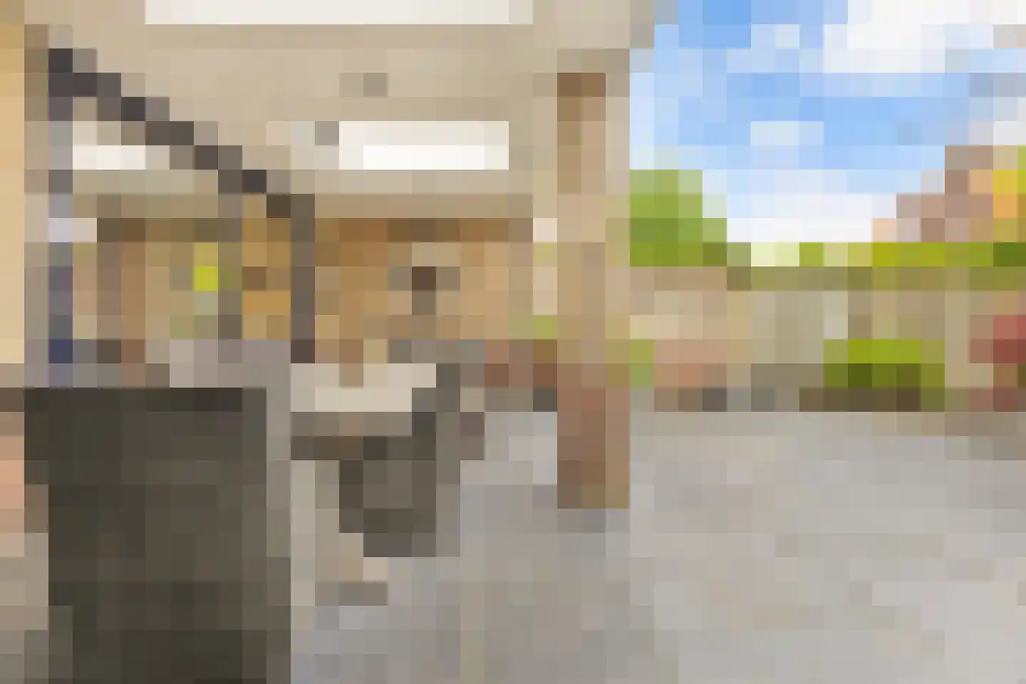 Broekstraat 48 Dorst thumbnail 43