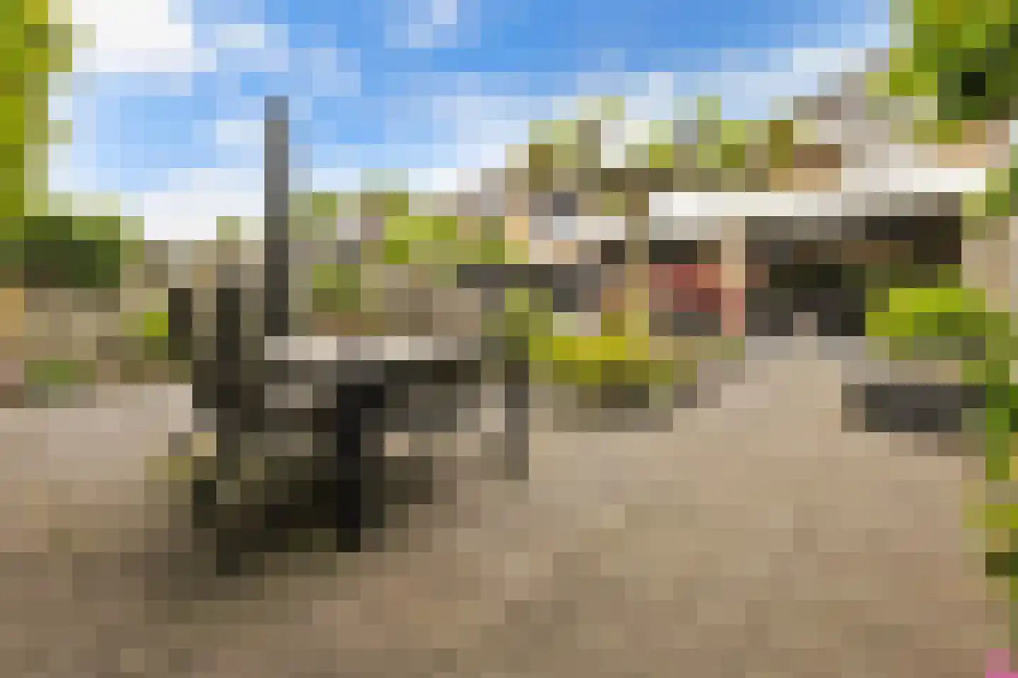 Broekstraat 48 Dorst thumbnail 47