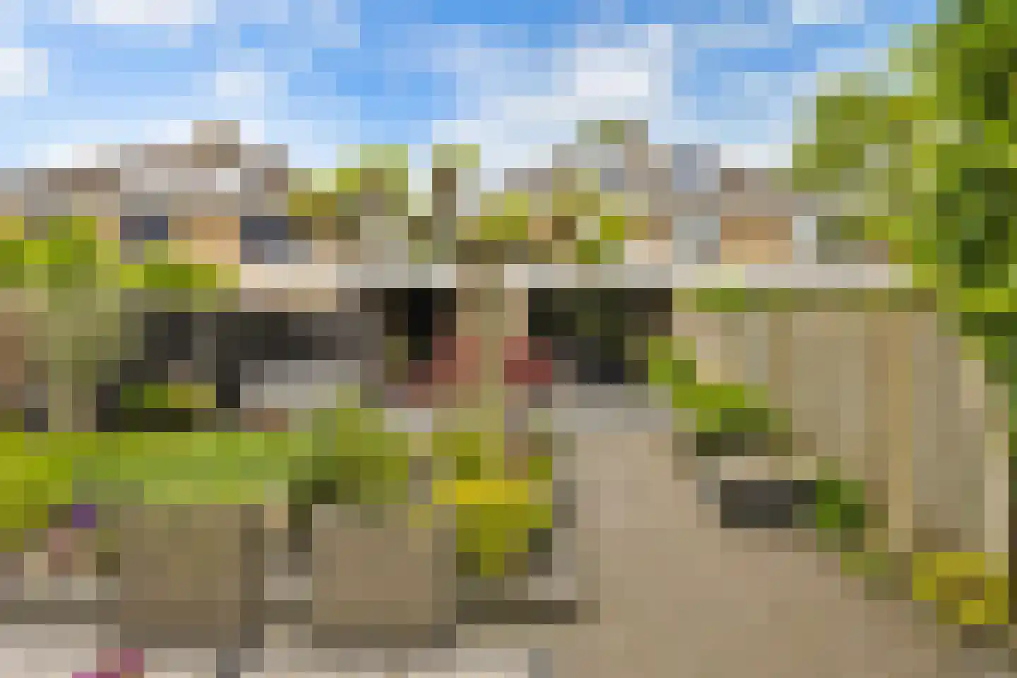 Broekstraat 48 Dorst thumbnail 5