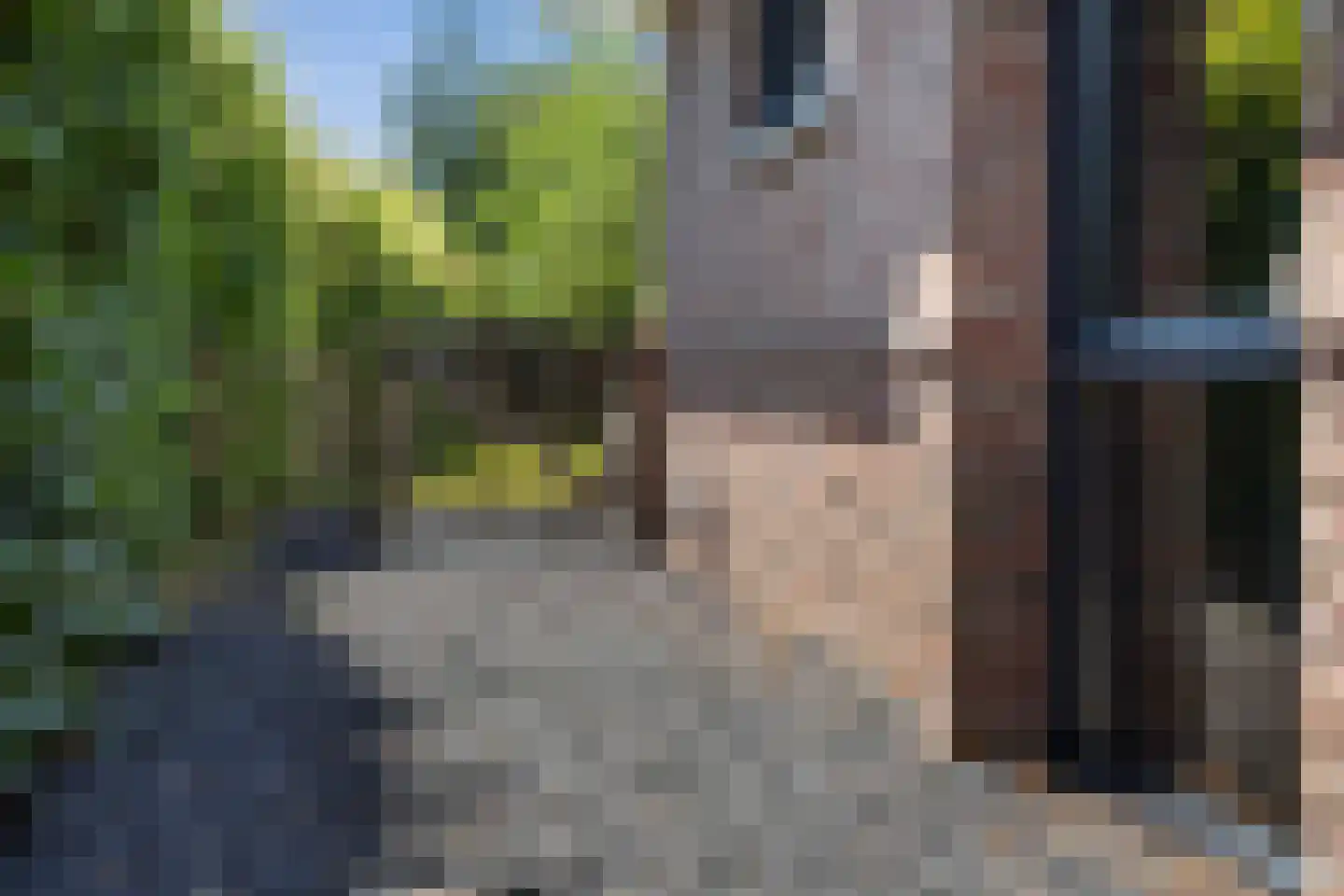 Broekstraat 48 Klarenbeek thumbnail 50