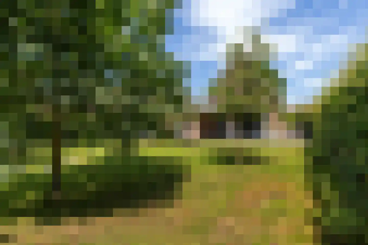 Broekstraat 48 Klarenbeek thumbnail 51