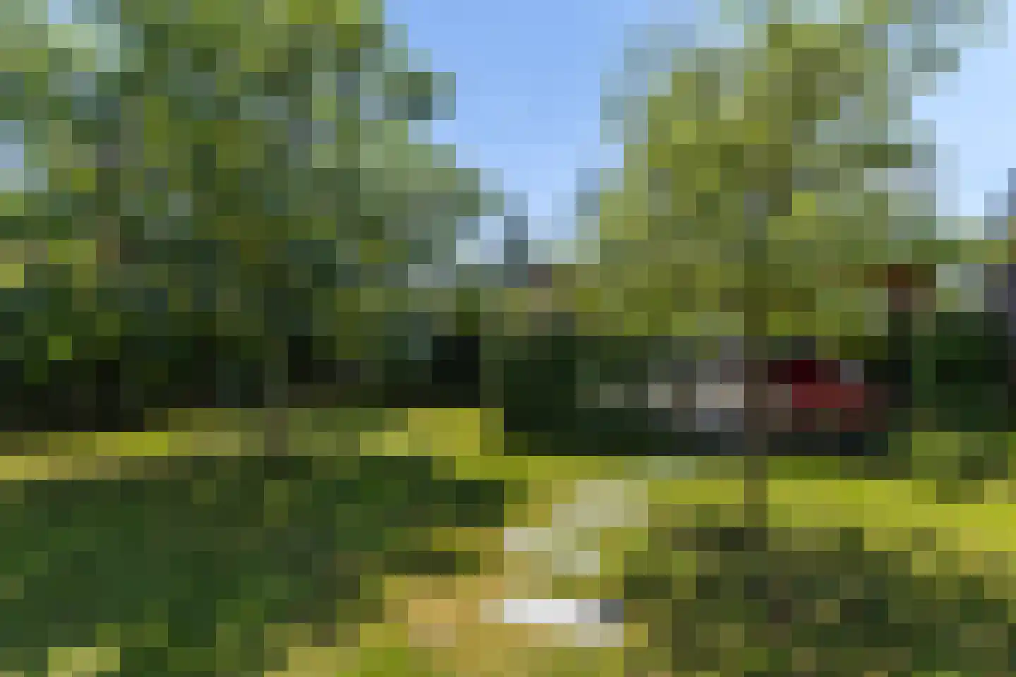 Broekstraat 48 Klarenbeek thumbnail 54