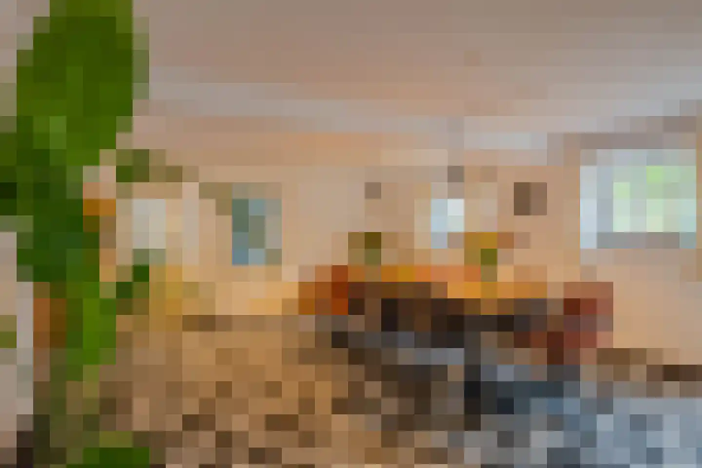 Broekstraat 5 Oploo thumbnail 11