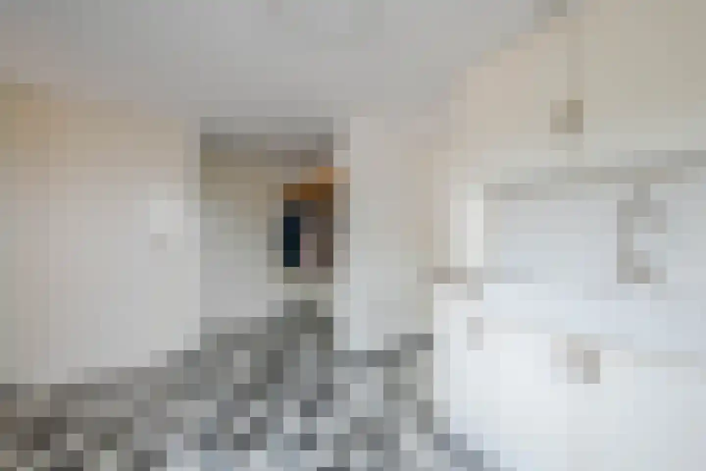 Broekstraat 5 Oploo thumbnail 23