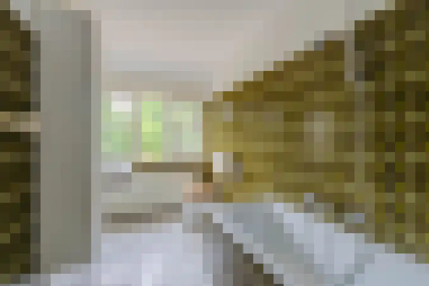 Broekstraat 5 Oploo thumbnail 36