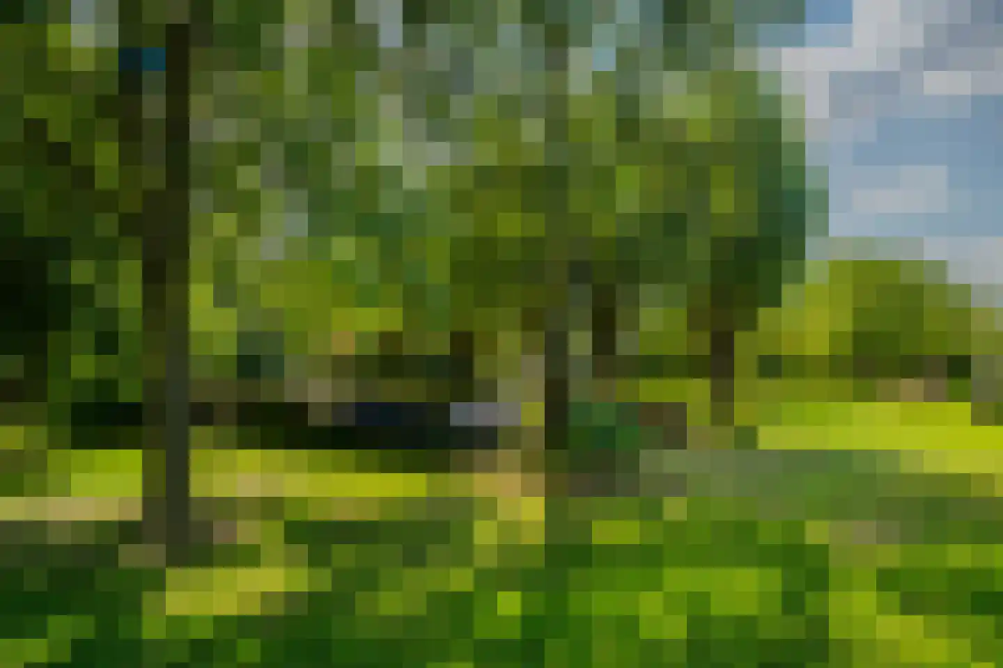 Broekstraat 5 Oploo thumbnail 48