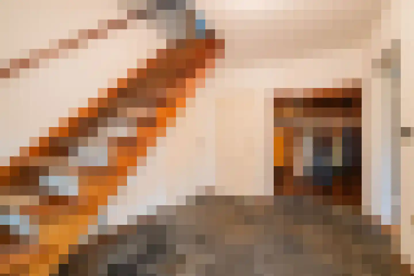 Broekstraat 5 Oploo thumbnail 5