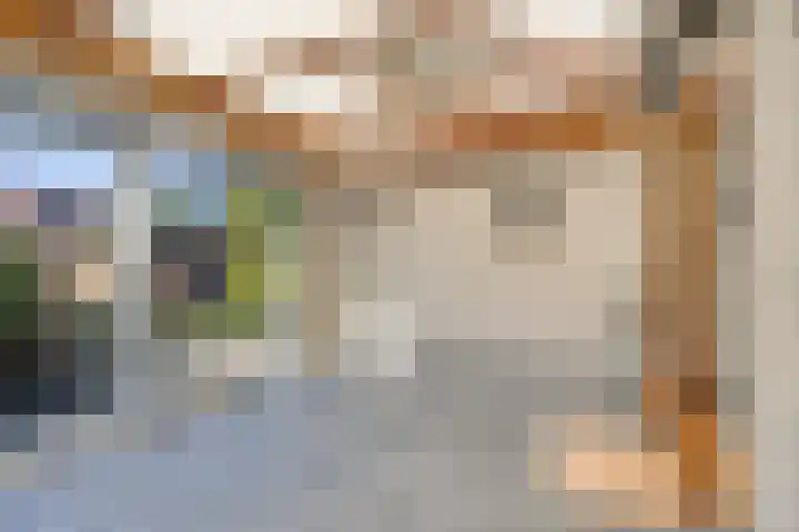 Broekstraat 50 Maasbree thumbnail 10