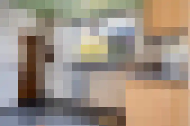 Broekstraat 50 Maasbree thumbnail 13