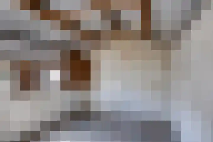 Broekstraat 50 Maasbree thumbnail 34