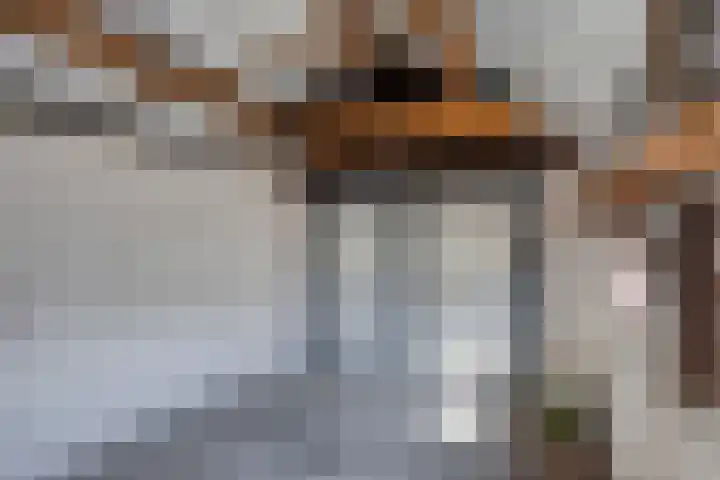 Broekstraat 50 Maasbree thumbnail 35