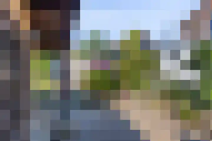 Broekstraat 50 Maasbree thumbnail 37