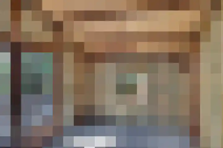 Broekstraat 50 Maasbree thumbnail 39