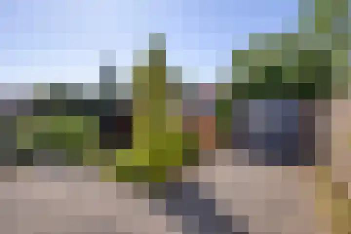 Broekstraat 50 Maasbree thumbnail 4