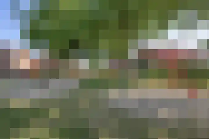 Broekstraat 50 Maasbree thumbnail 40