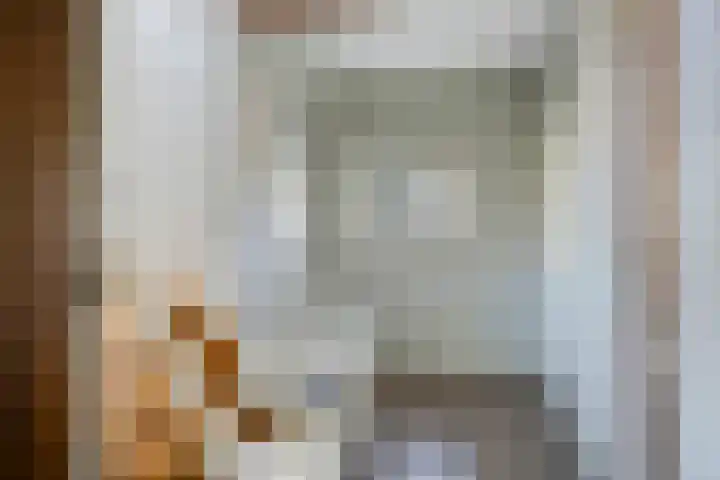 Broekstraat 50 Maasbree thumbnail 5