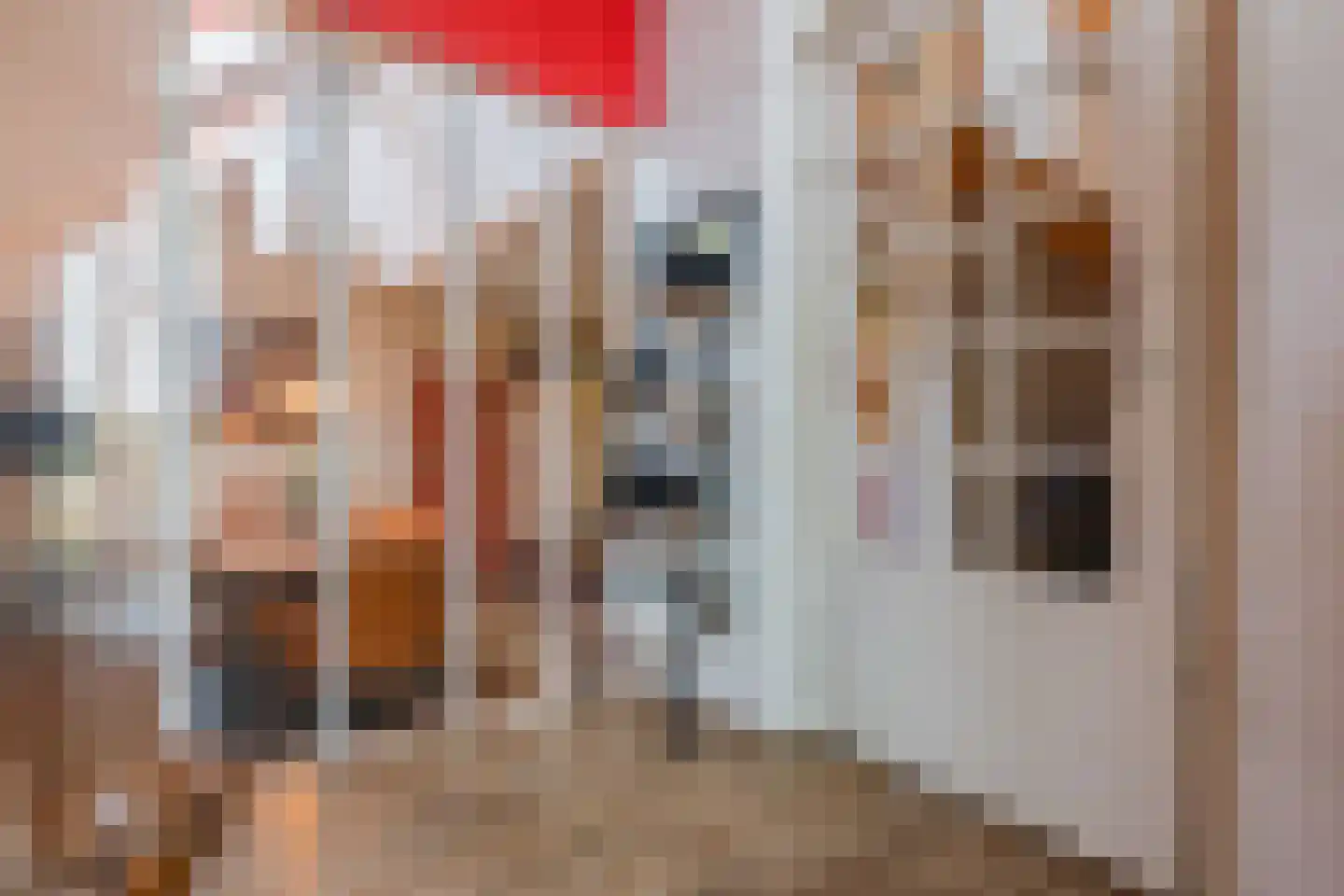 Broekstraat 52 Molenschot thumbnail 10