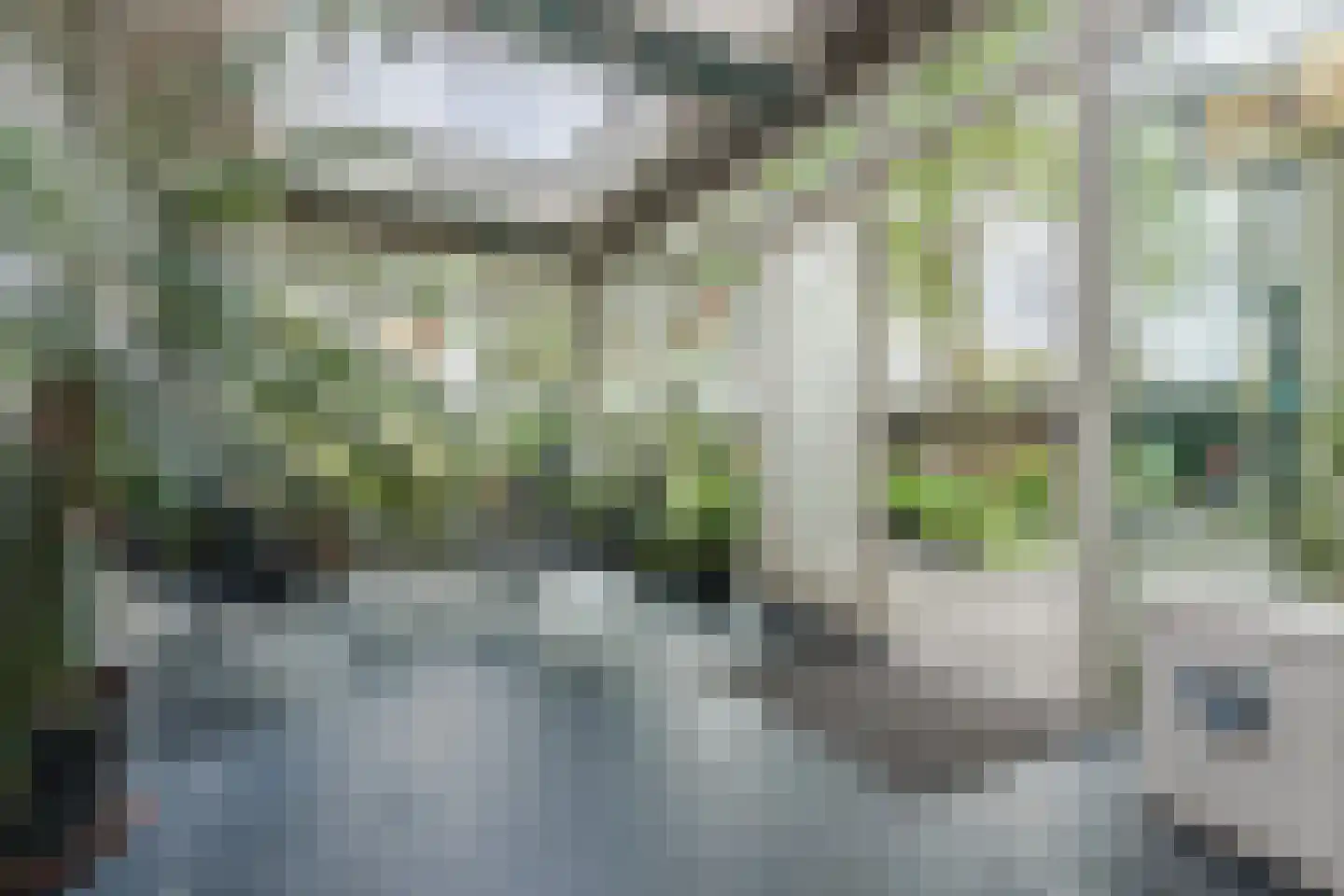 Broekstraat 52 Molenschot thumbnail 25