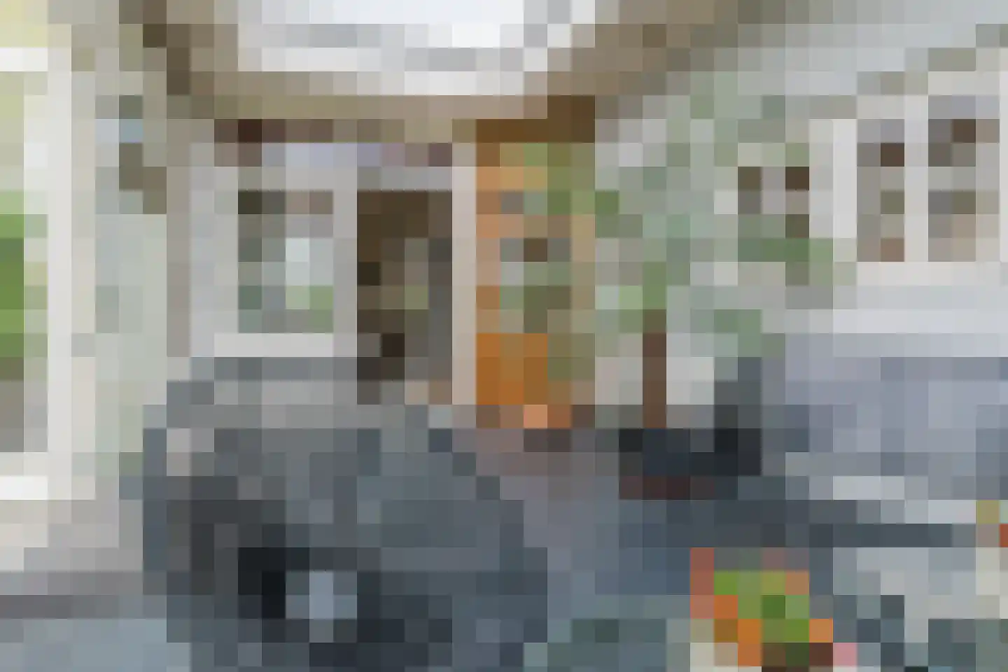 Broekstraat 52 Molenschot thumbnail 26