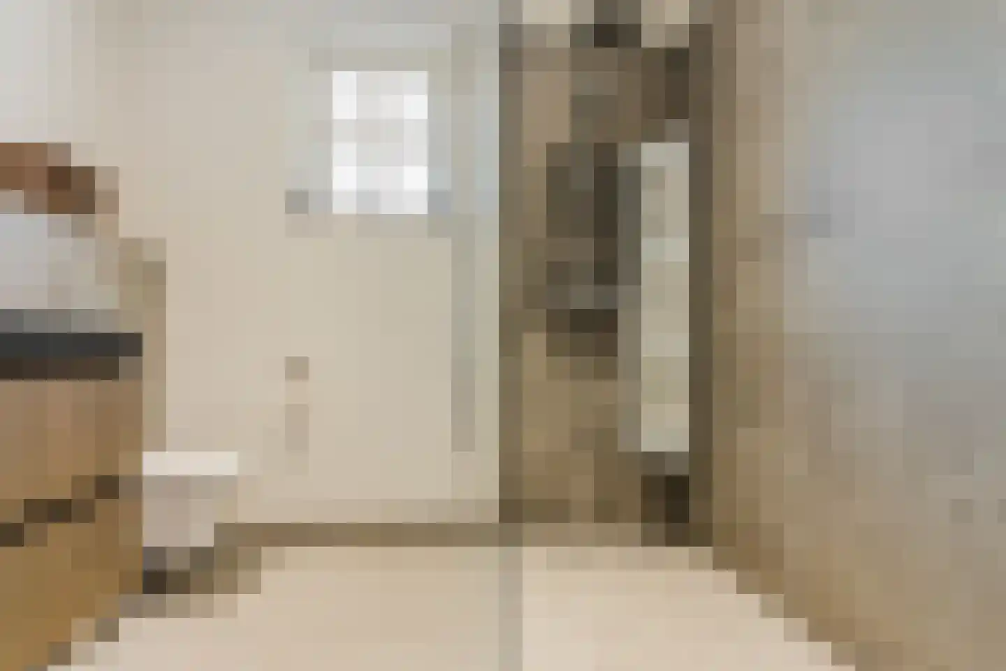 Broekstraat 52 Molenschot thumbnail 37