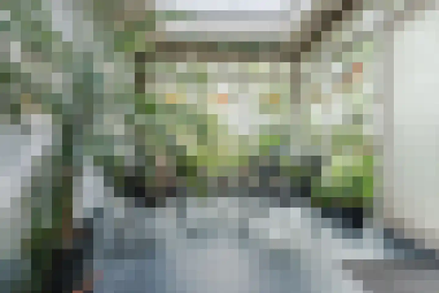 Broekstraat 52 Molenschot thumbnail 4