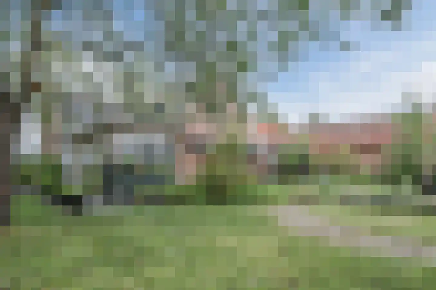 Broekstraat 52 Molenschot thumbnail 45