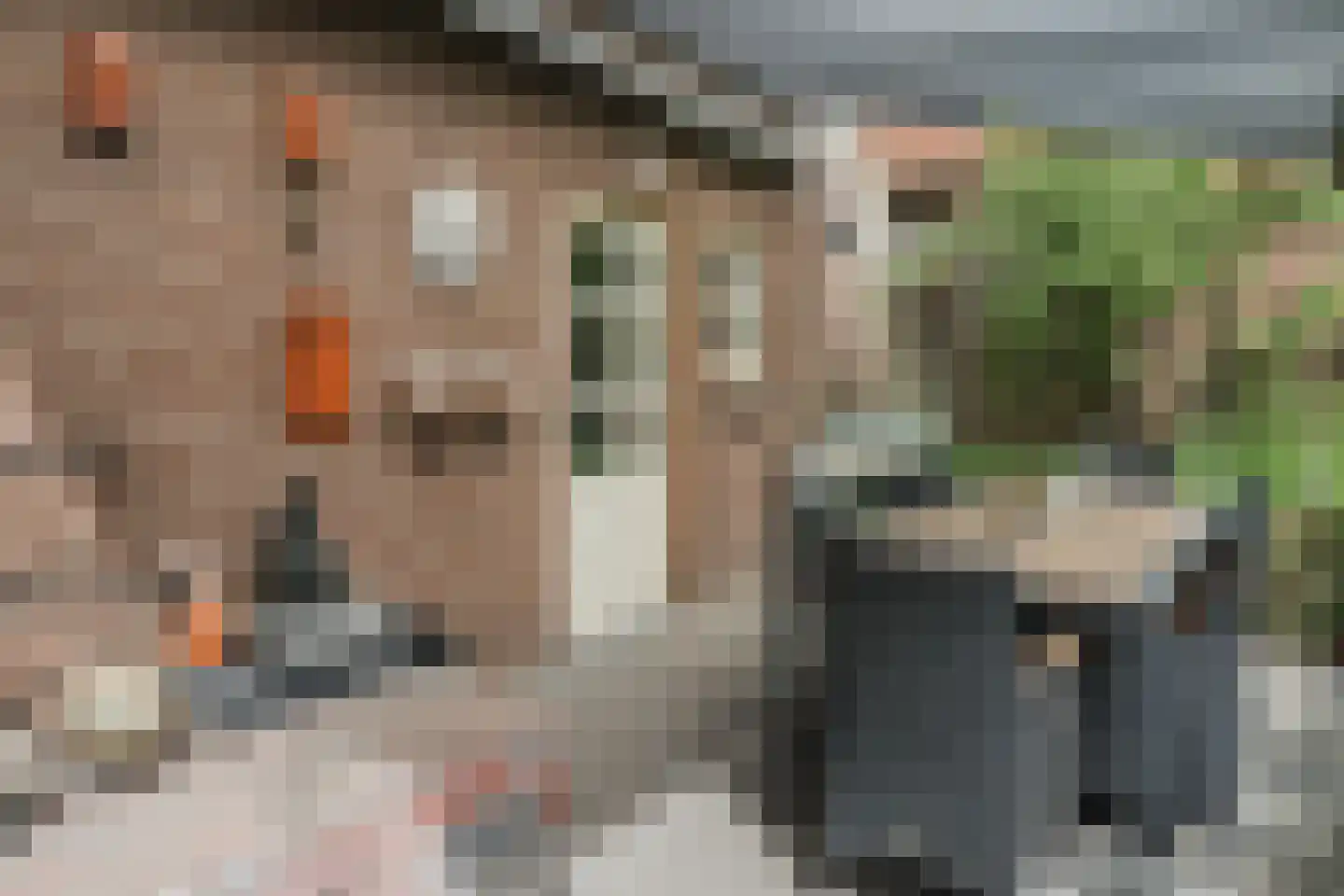 Broekstraat 52 Molenschot thumbnail 46