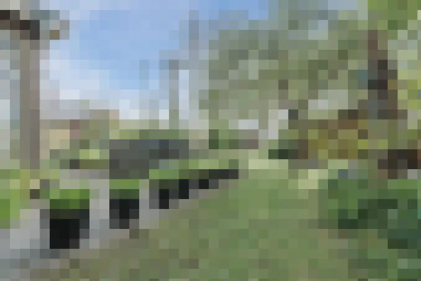 Broekstraat 52 Molenschot thumbnail 47