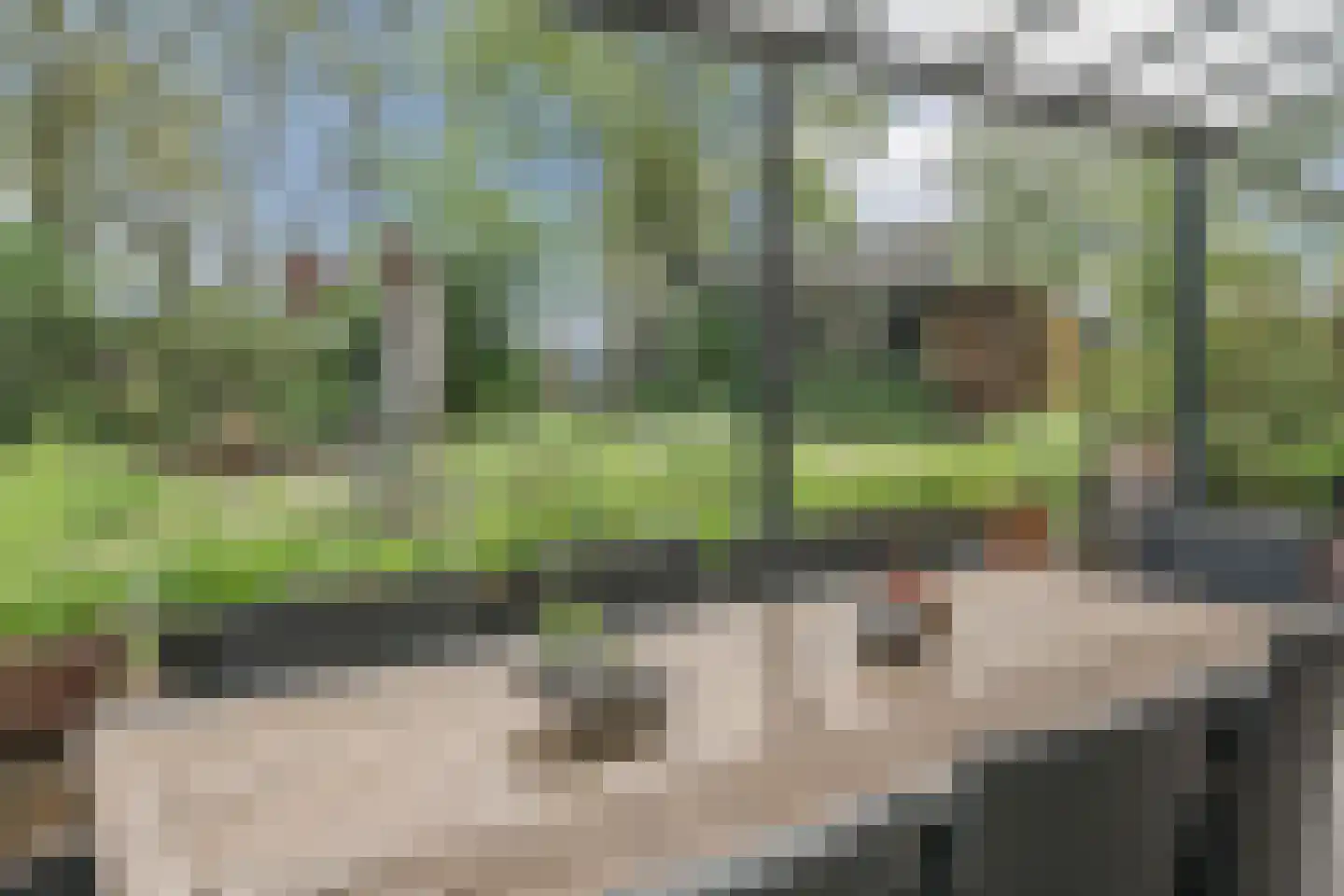 Broekstraat 52 Molenschot thumbnail 48
