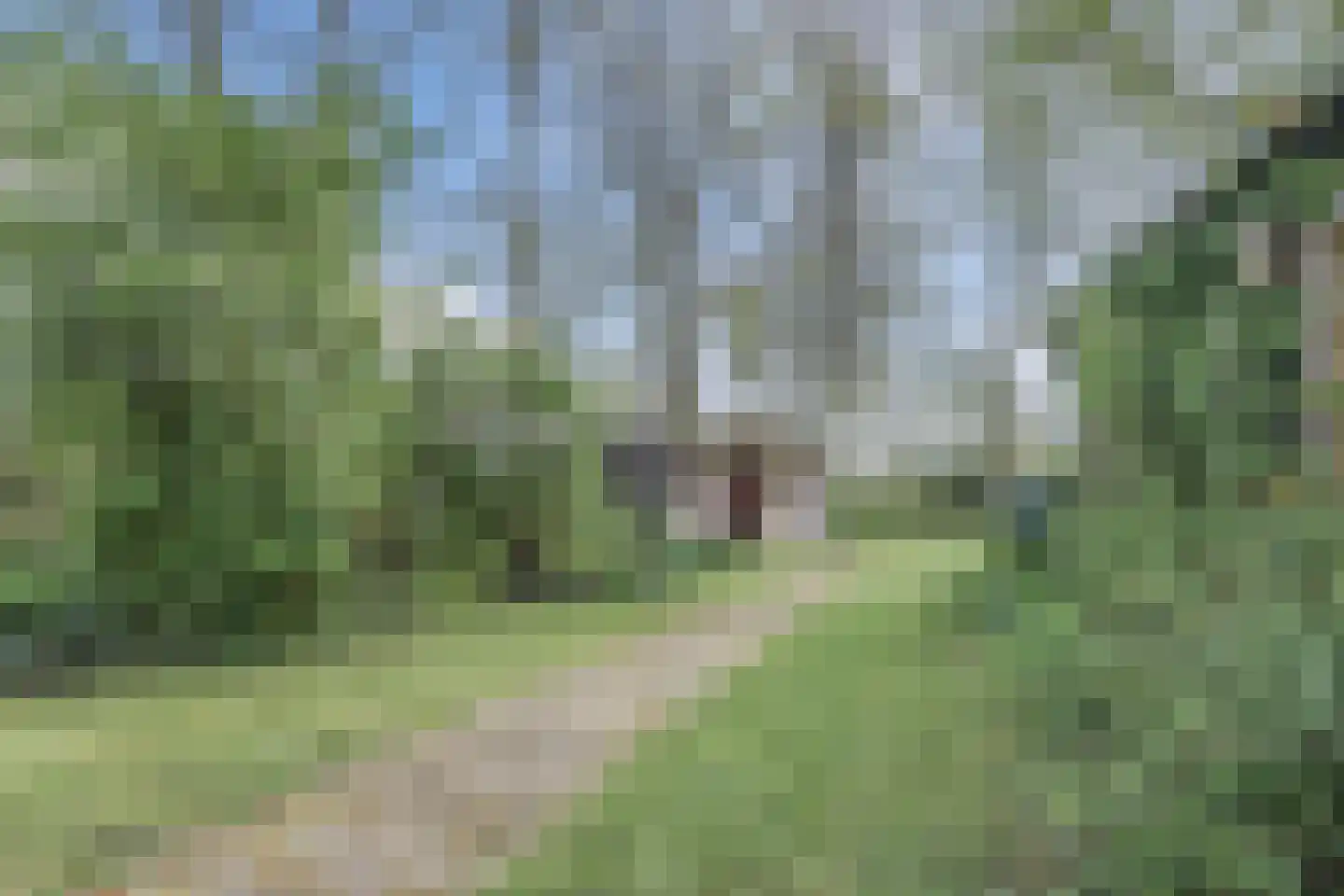 Broekstraat 52 Molenschot thumbnail 55