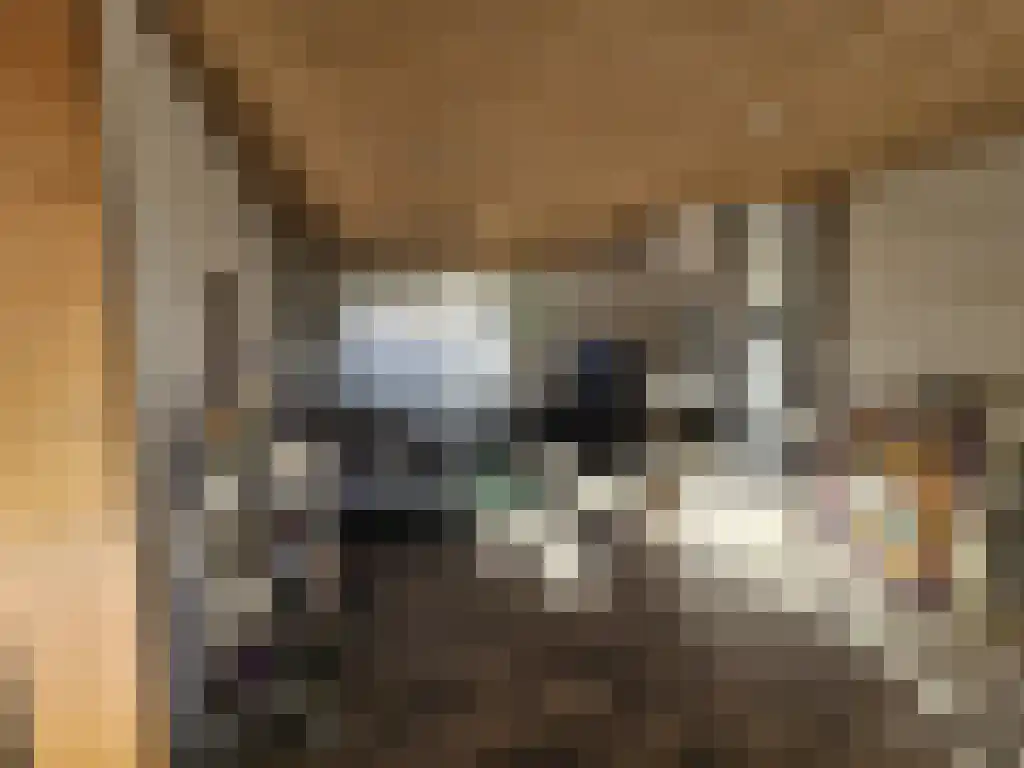 Broekstraat 52 Schinveld thumbnail 4