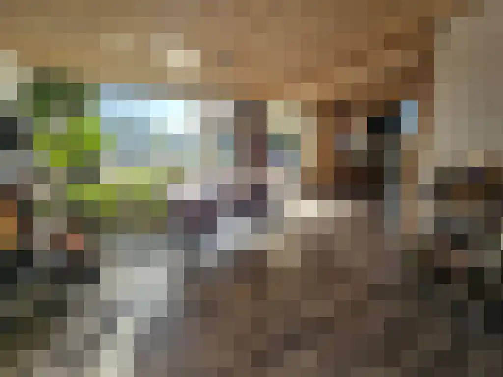 Broekstraat 52 Schinveld thumbnail 5