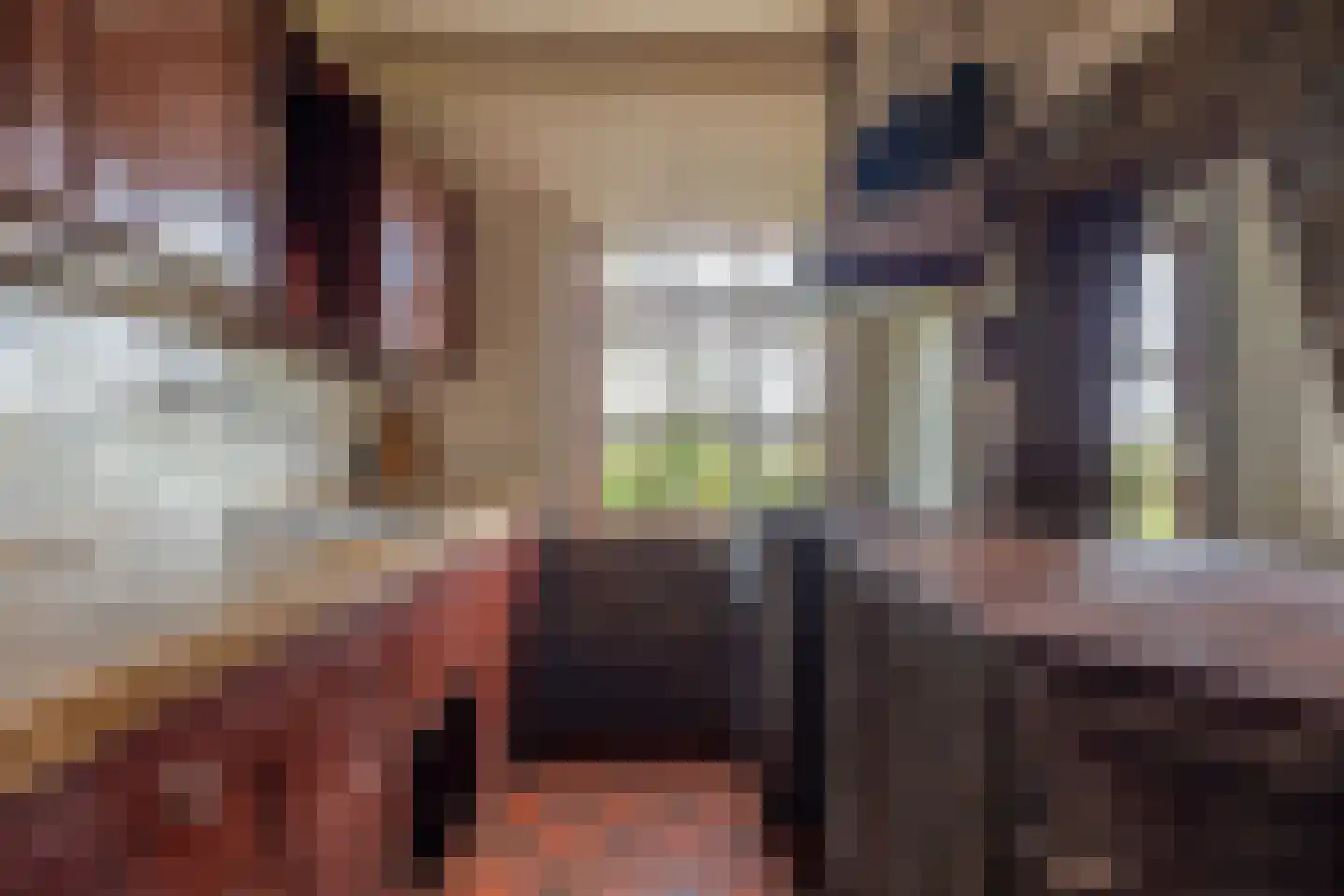 Broekstraat 59 Mierlo thumbnail 13