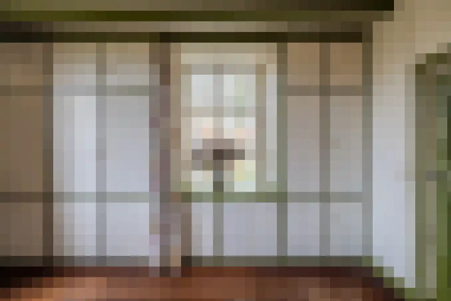 Broekstraat 59 Mierlo thumbnail 18