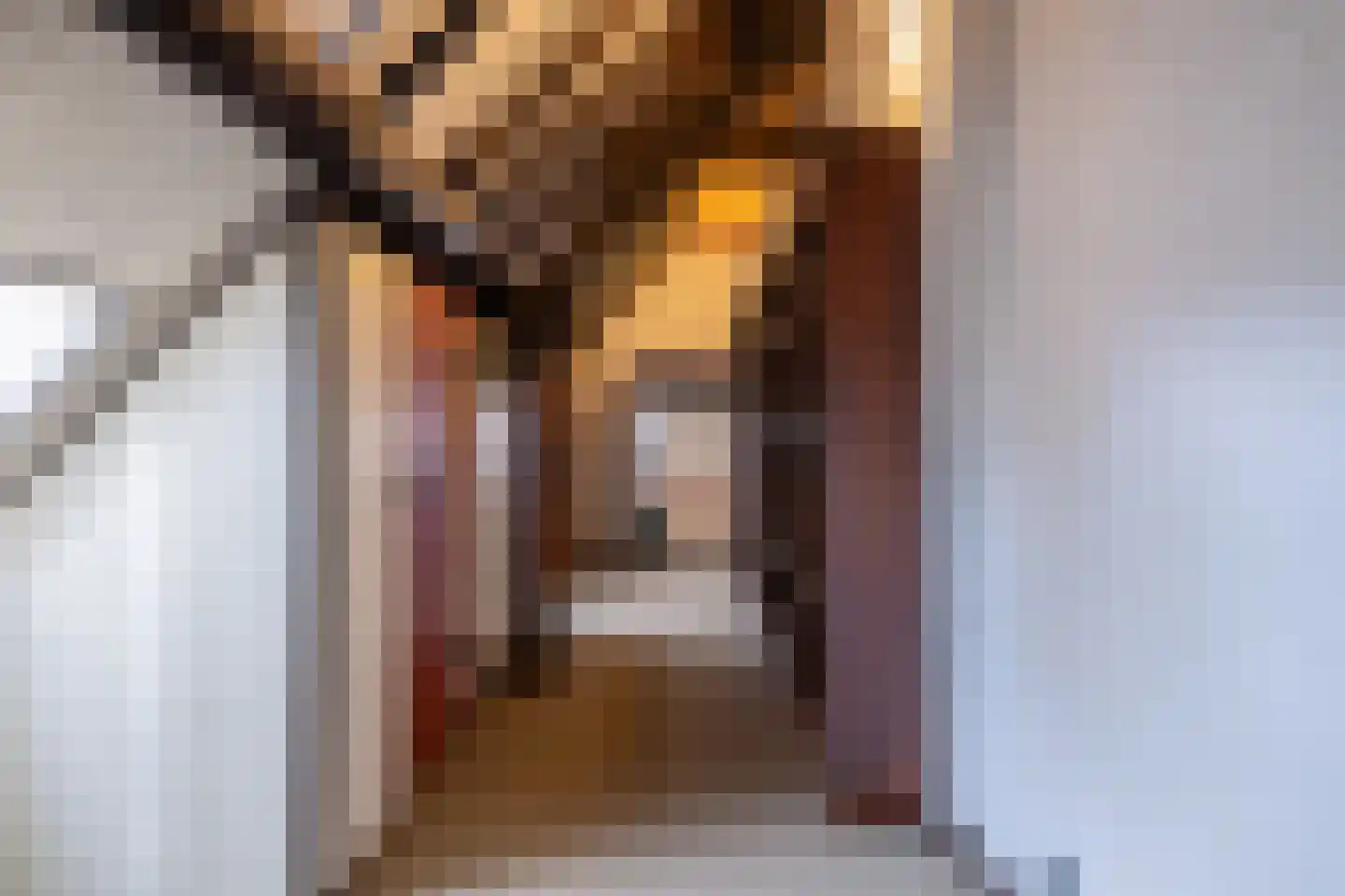 Broekstraat 59 Mierlo thumbnail 24