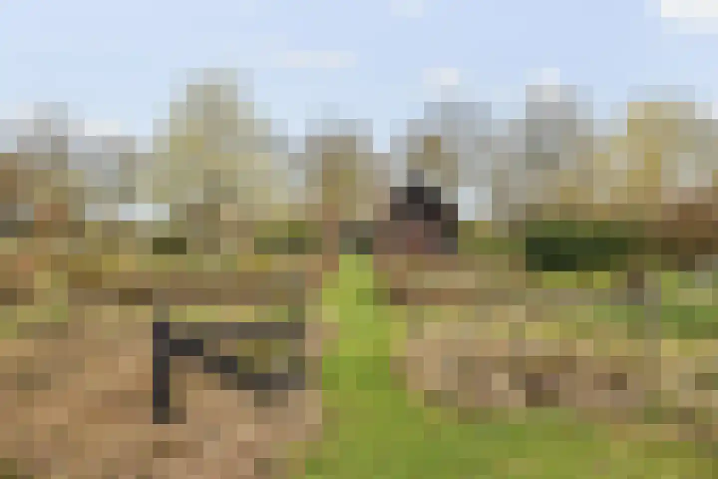 Broekstraat 59 Mierlo thumbnail 33