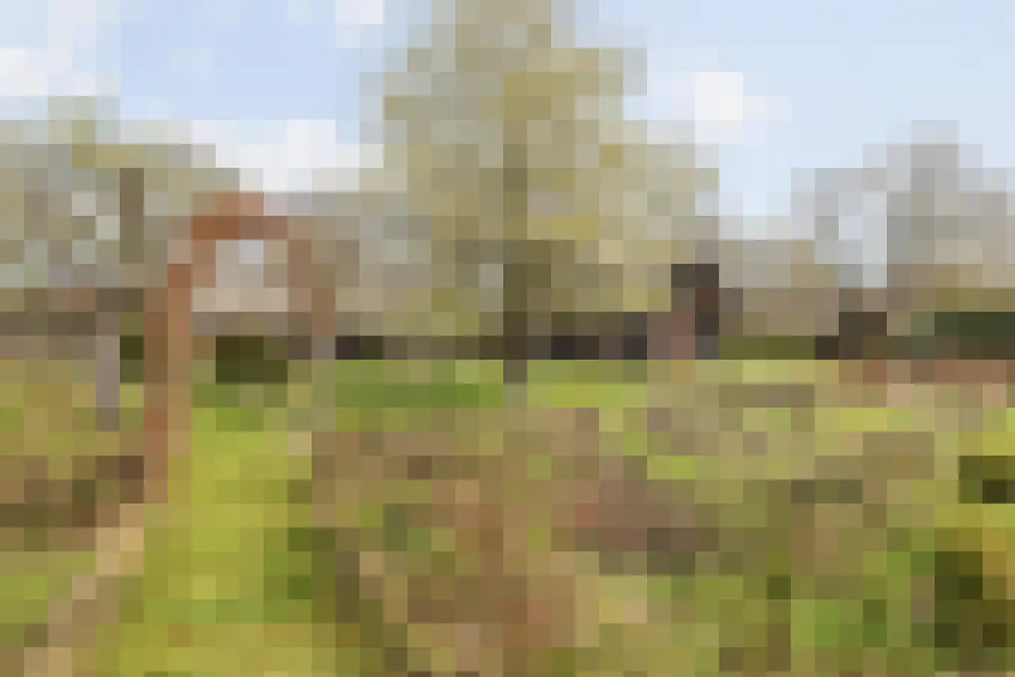 Broekstraat 59 Mierlo thumbnail 39